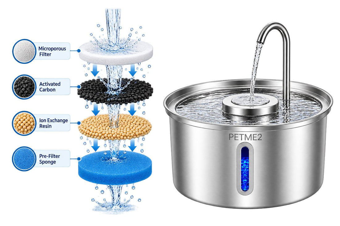 PETME2 3.2L stainless steel cat water fountain at home