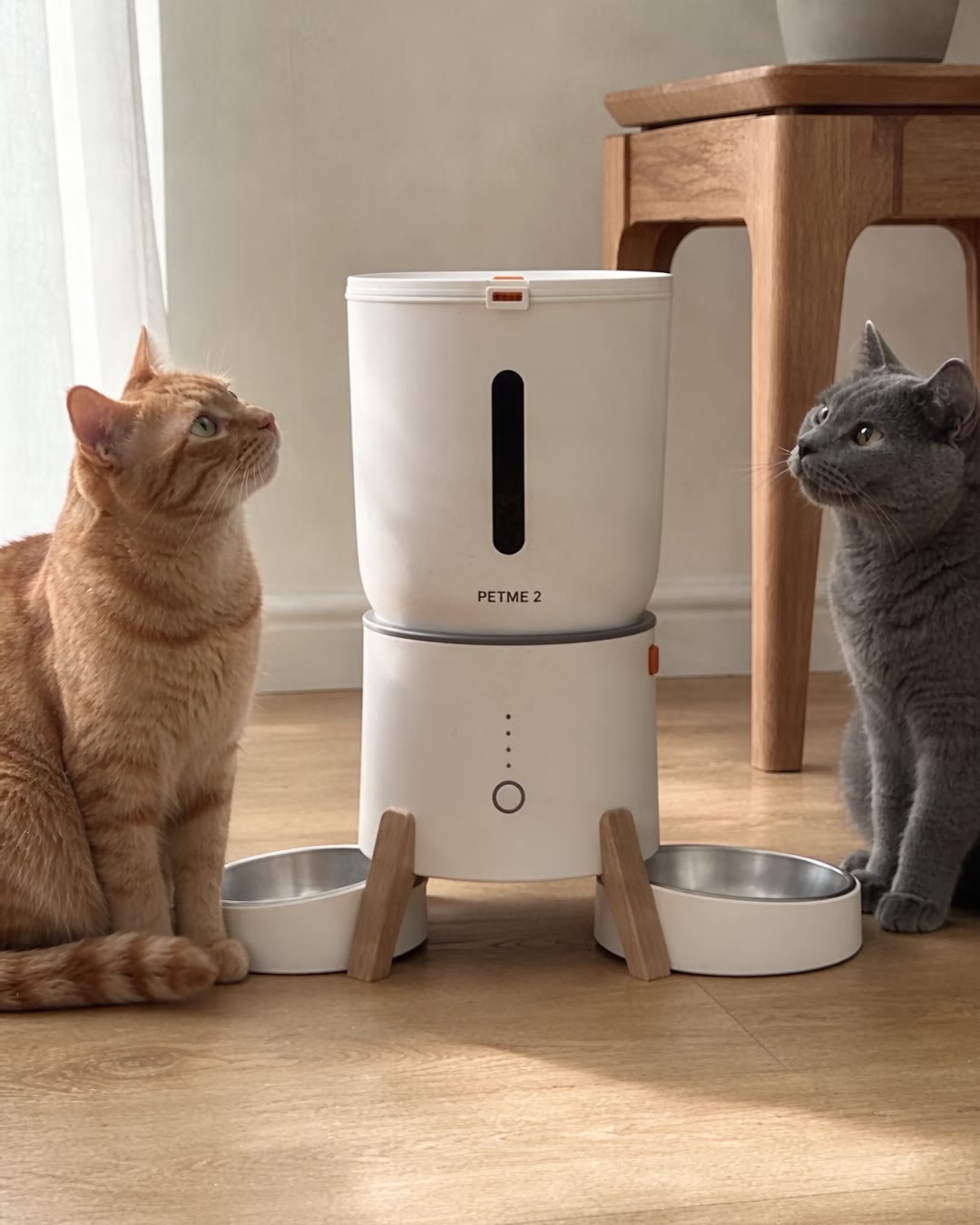 Two cats eating dry food from a PETME2 automatic feeder