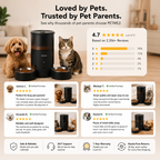 PETME2 3L dual-bowl automatic cat feeder in matte black