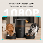 PETME2 3L dual-bowl automatic cat feeder in matte black