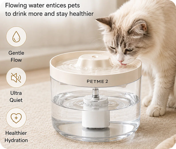 Fresh water that keeps moving.