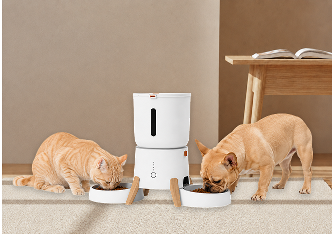 More dependable mealtimes.