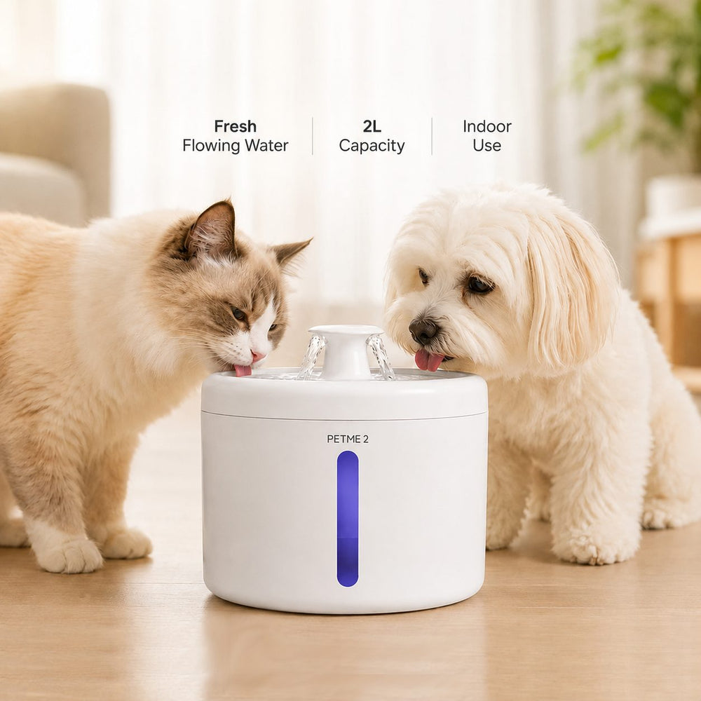PETME2 2L quiet cat water fountain – detail image 6 of 8