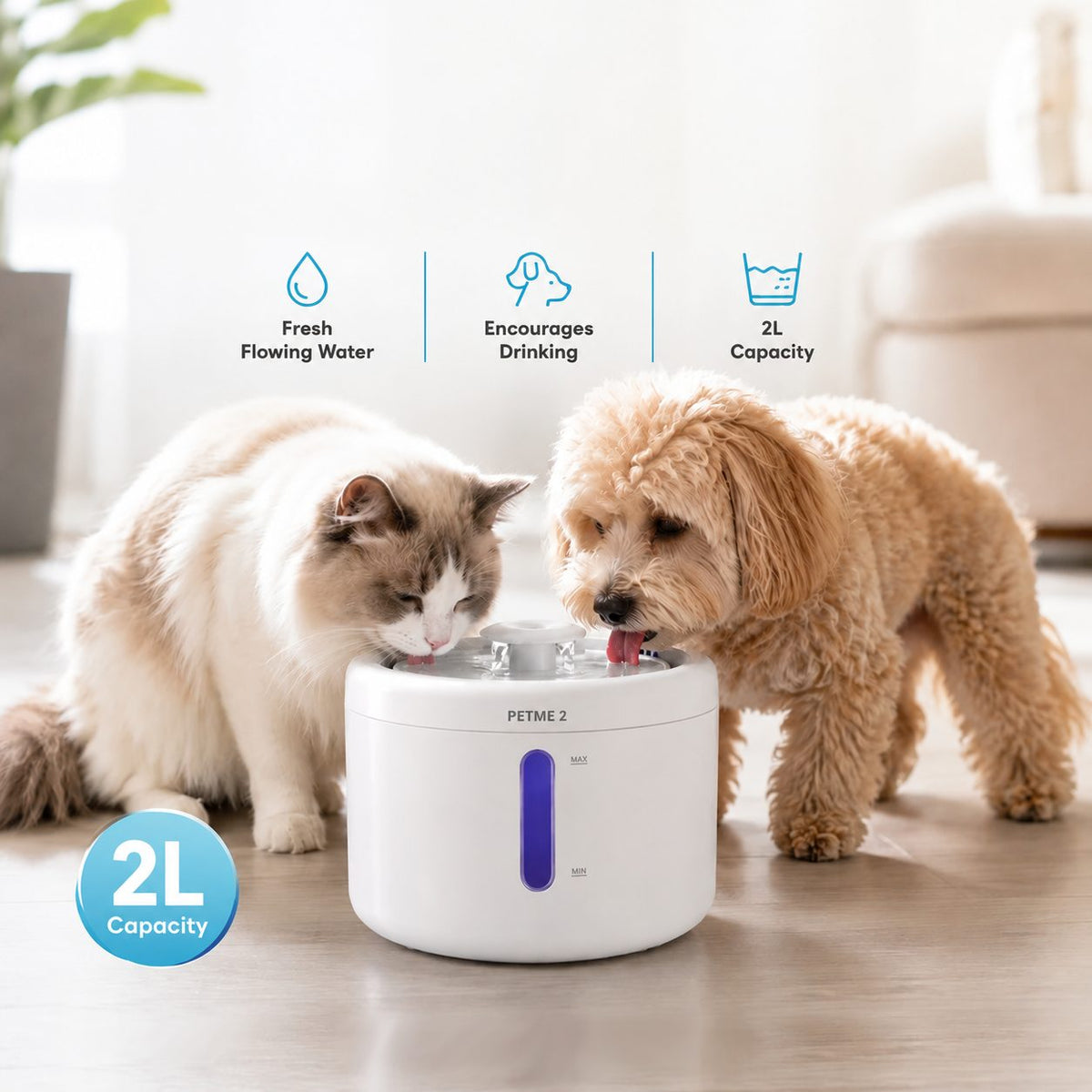PETME2 2L quiet cat water fountain – detail image 7 of 8