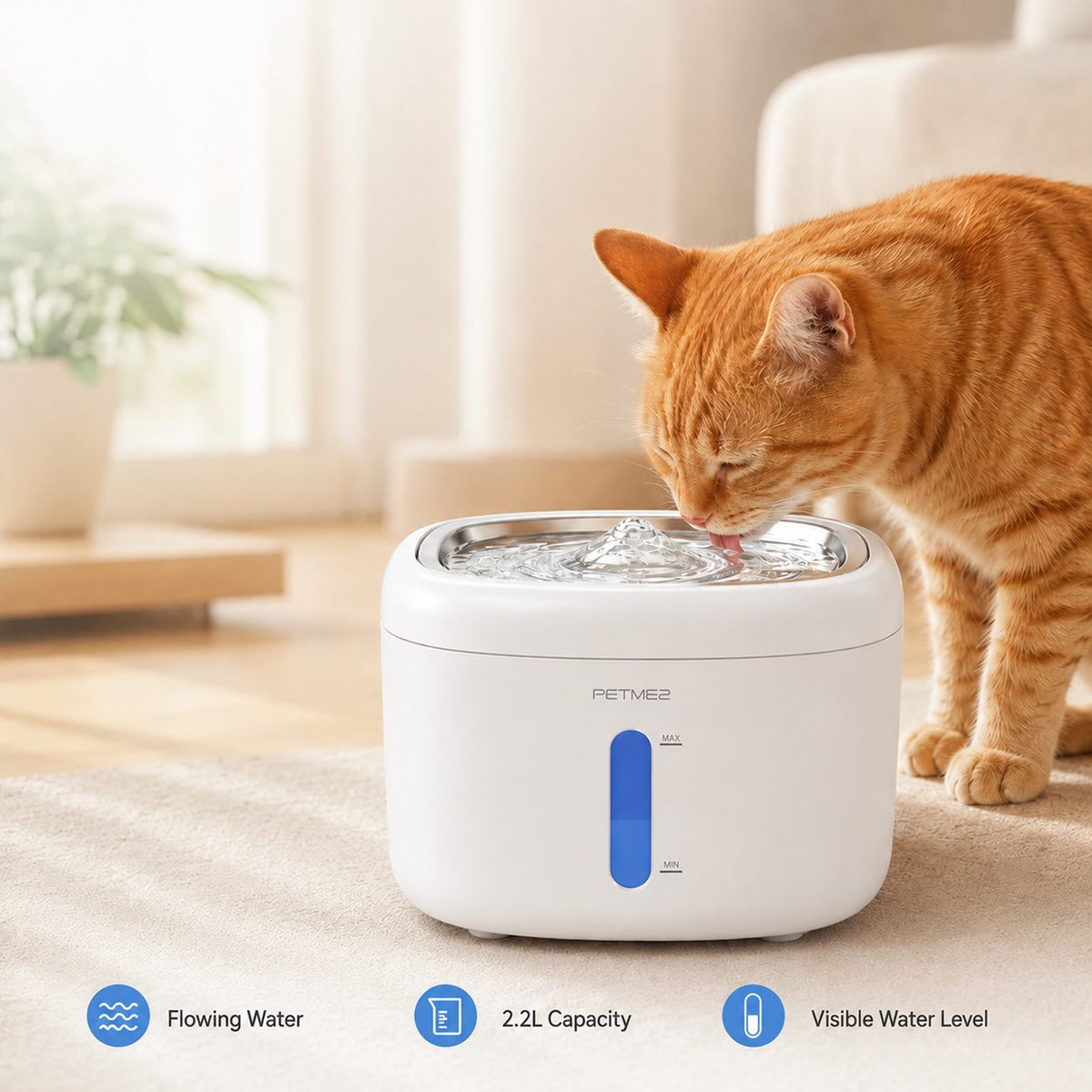 PETME2 2.2L cat water fountain with stainless steel tray – detail image 8 of 8