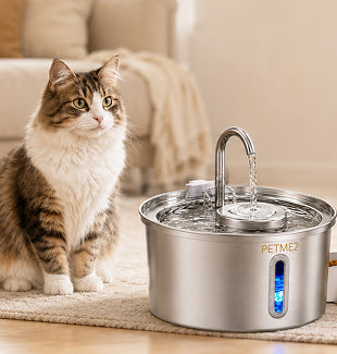 Pet fountain with cat