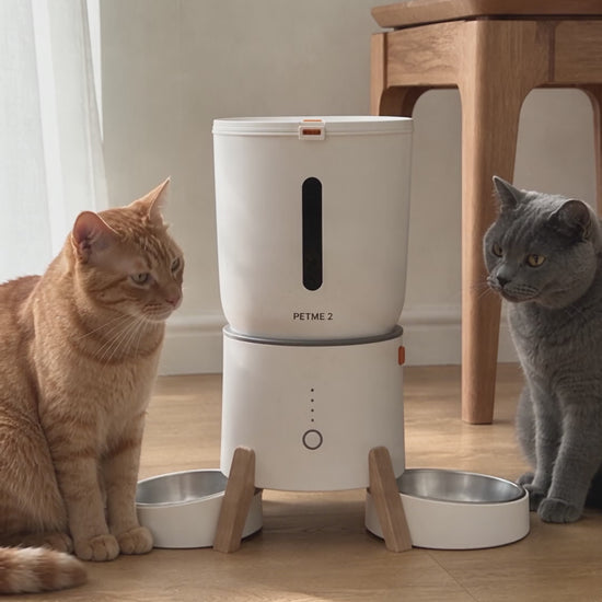PETME2 5L elevated dual-bowl automatic feeder serving two cats equal meals