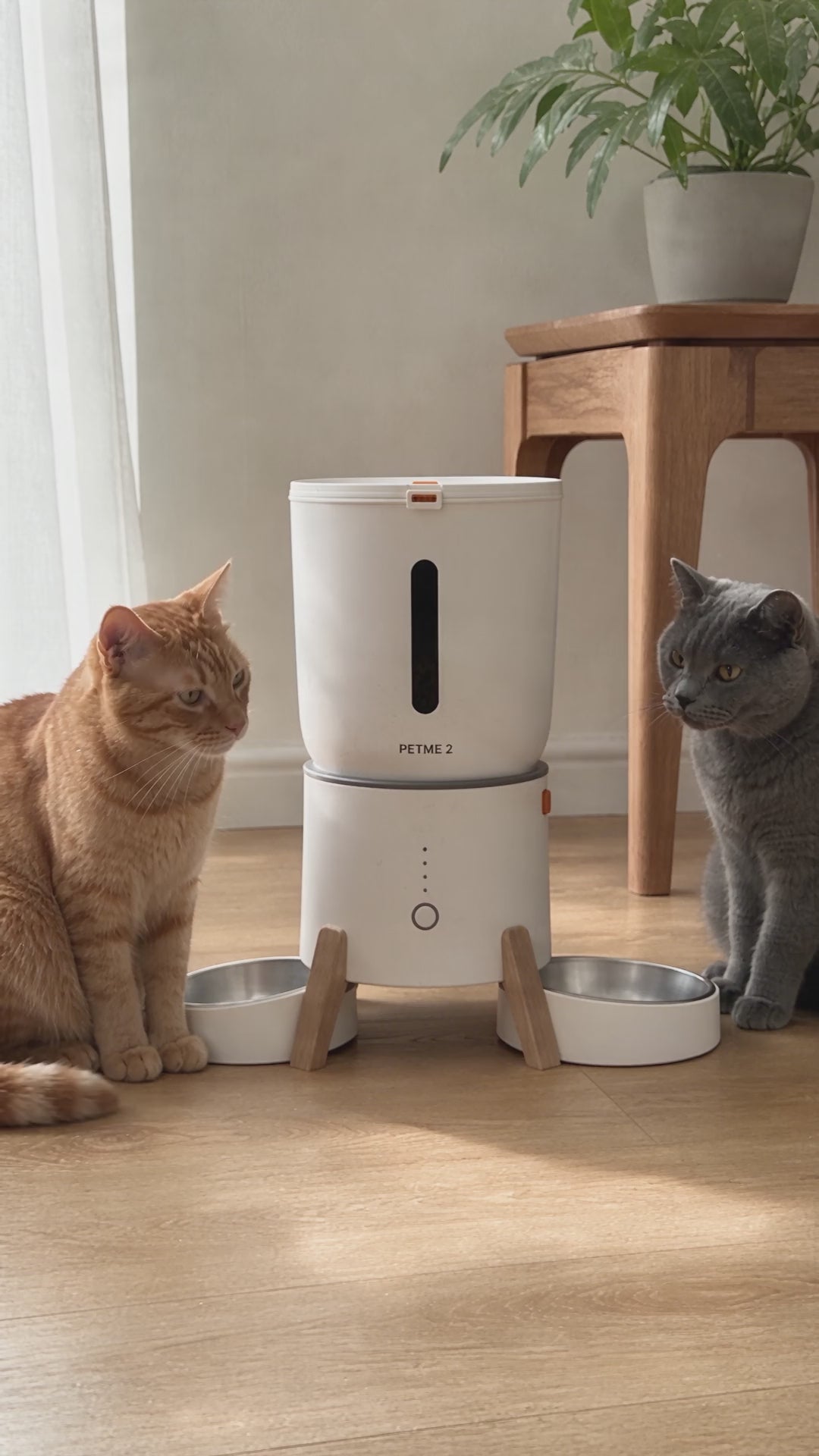 PETME2 5L elevated dual-bowl automatic feeder serving two cats equal meals