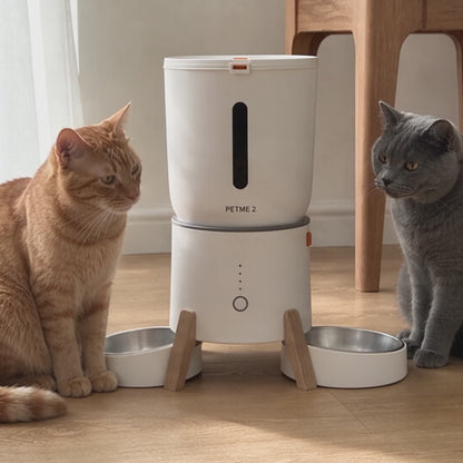 Two cats eating at the same time from the PETME2 dual bowl automatic feeder