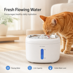 PETME2 2.2L cat water fountain with stainless steel tray and 4-layer filter