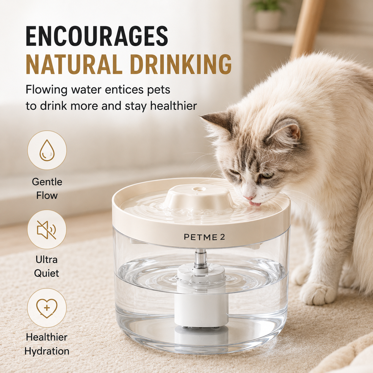 PETME2 2.2L transparent cat water fountain with visible water level
