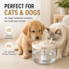 PETME2 2.2L transparent cat water fountain with visible water level
